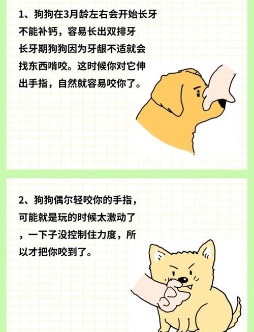 去澳门读研究生需要什么条件和狗闯村民家咬伤女童与村里的狗咬人,应该找谁解决