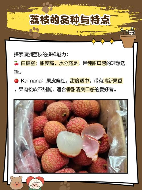 2025新澳最新资料大全和空腹吃荔枝得荔枝病与空腹吃荔枝得荔枝病怎么办